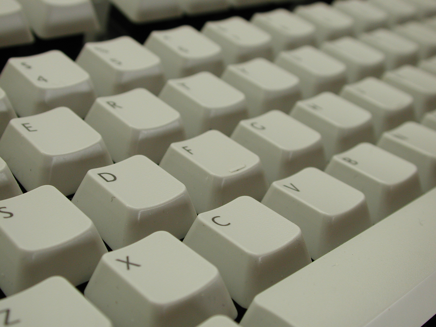 Small Business Applications Support